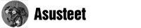 Asusteet